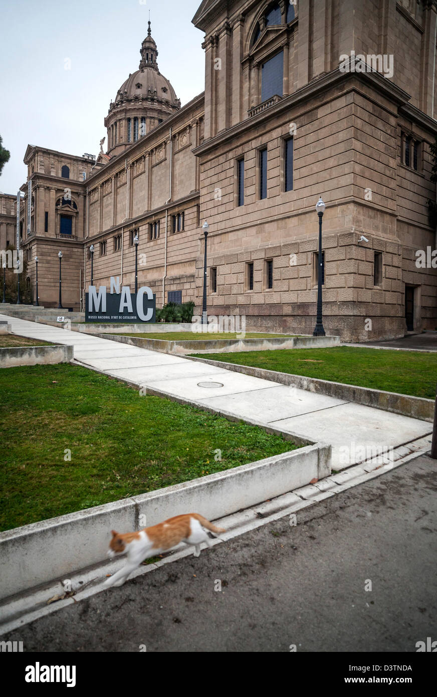 MNAC, Museu Nacional Kunst Catalunya in Montjuic, Barcelona Stockfoto