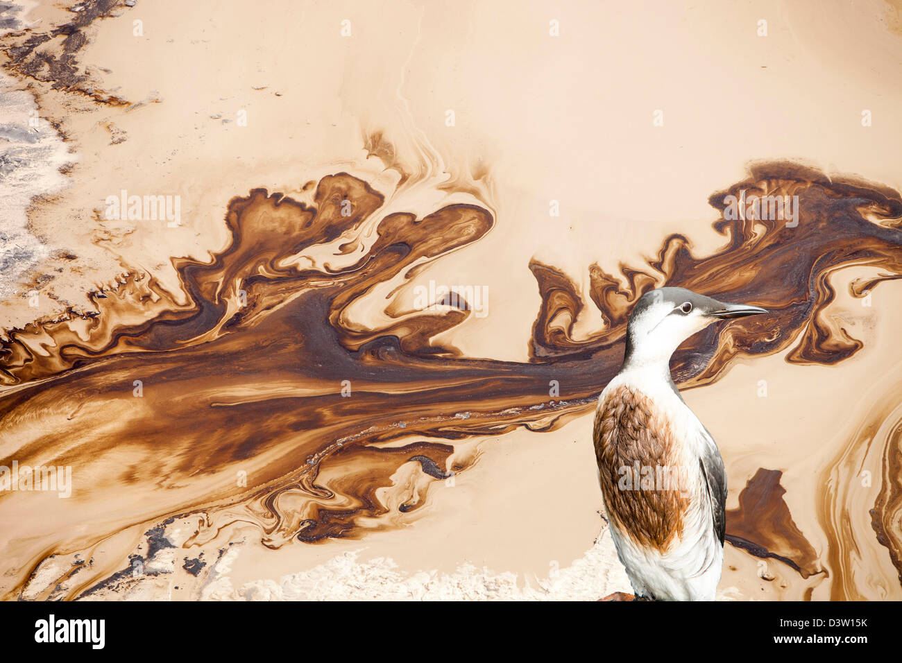 Die Halde Teich an der Syncrude Mine nördlich von Fort McMurray, Alberta, Kanada mit einem geölten Guillemot. Stockfoto