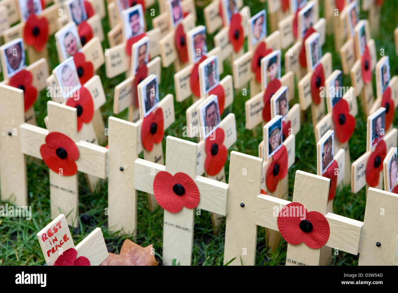 Red Poppy ist auf dem Display zum Gedenken an die Opfer der Soldaten, die zwar und starb während der beiden Weltkriege. Stockfoto