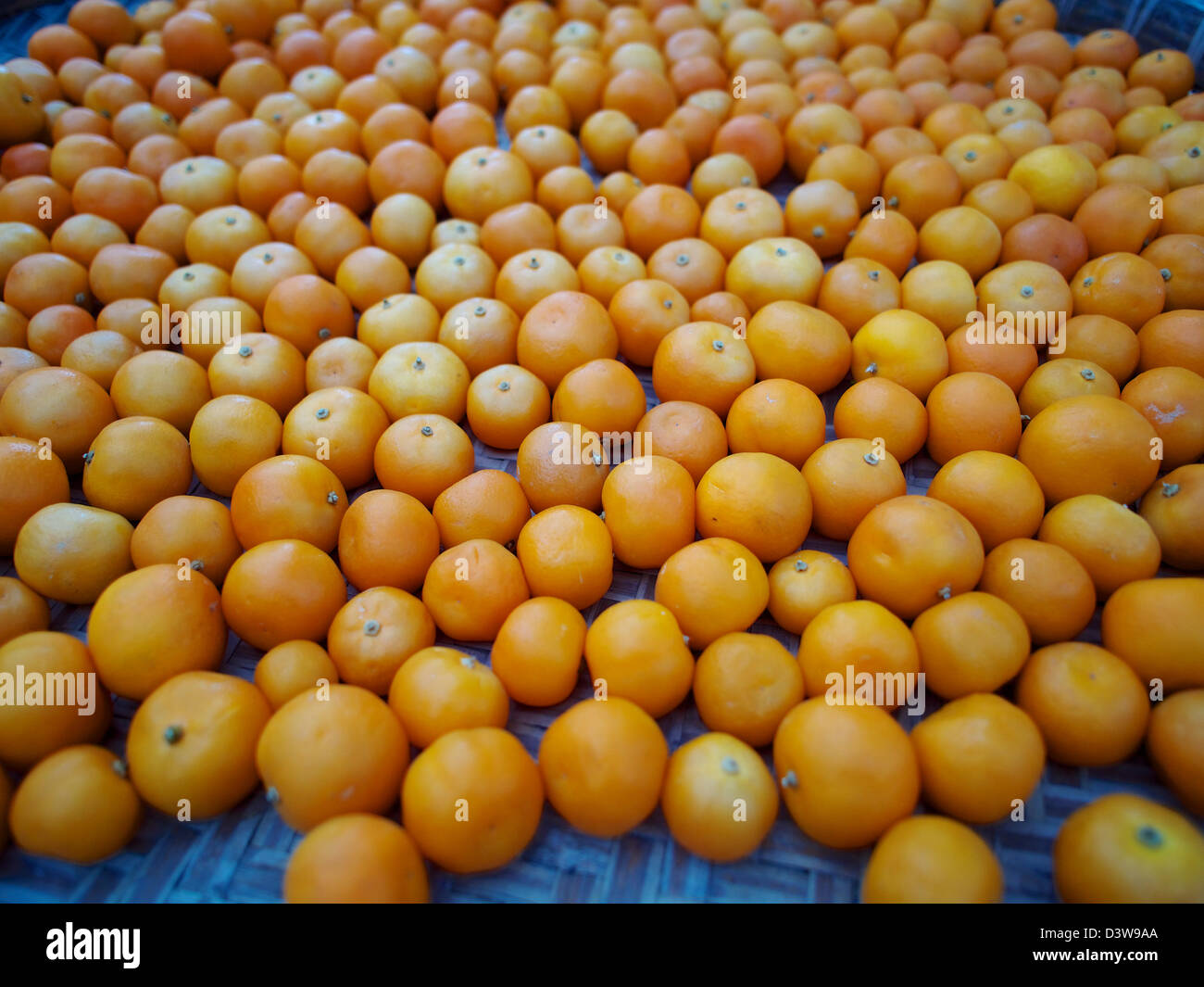 Pick-your-eigenes Obst und Gemüse in hok tau Country Park, New Territories, Hong Kong Stockfoto