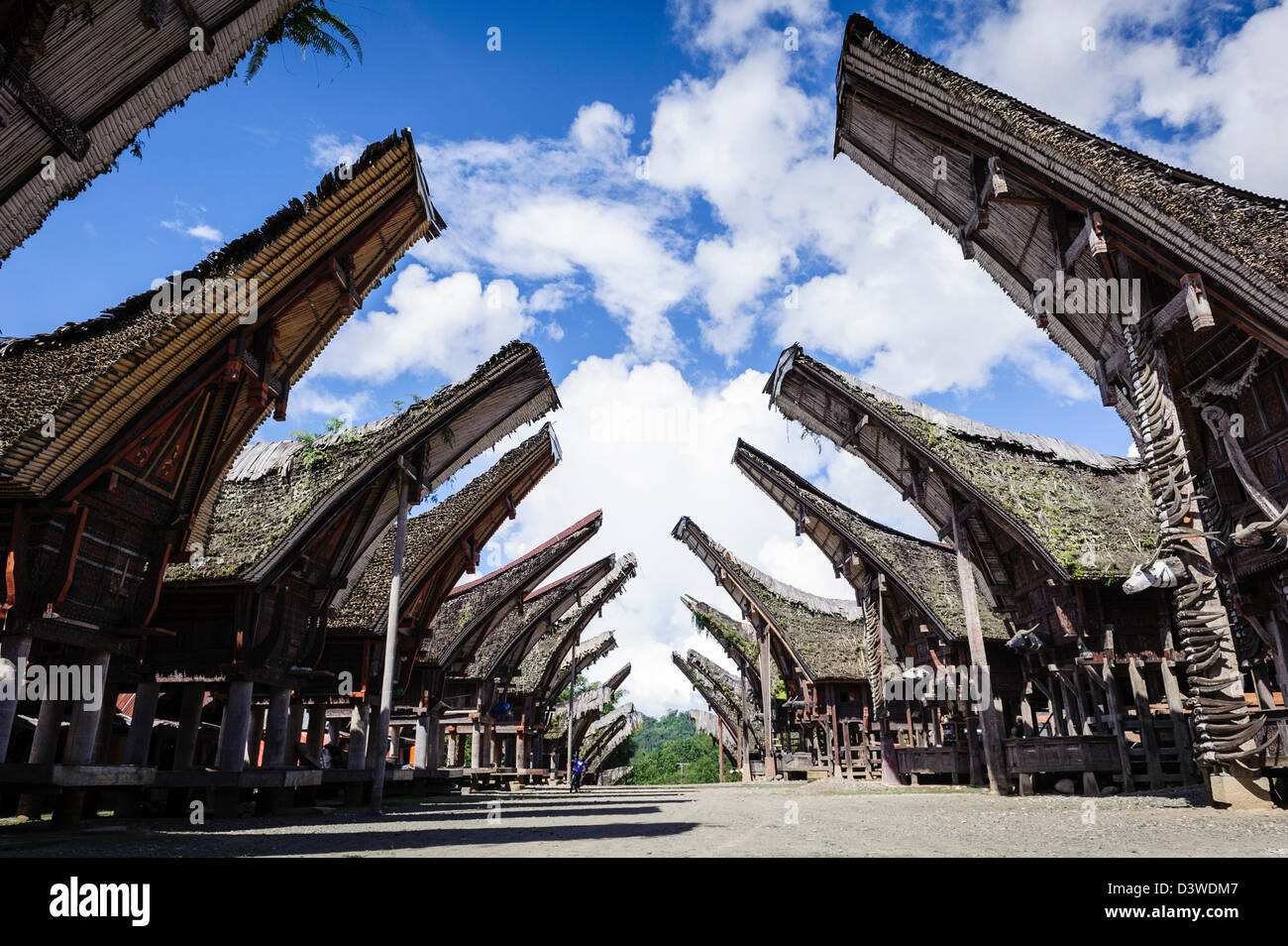 Ansicht eines traditionellen Dorfes der Tana Toraja mit typischen Häusern, Sulawesi, Indonesien Stockfoto