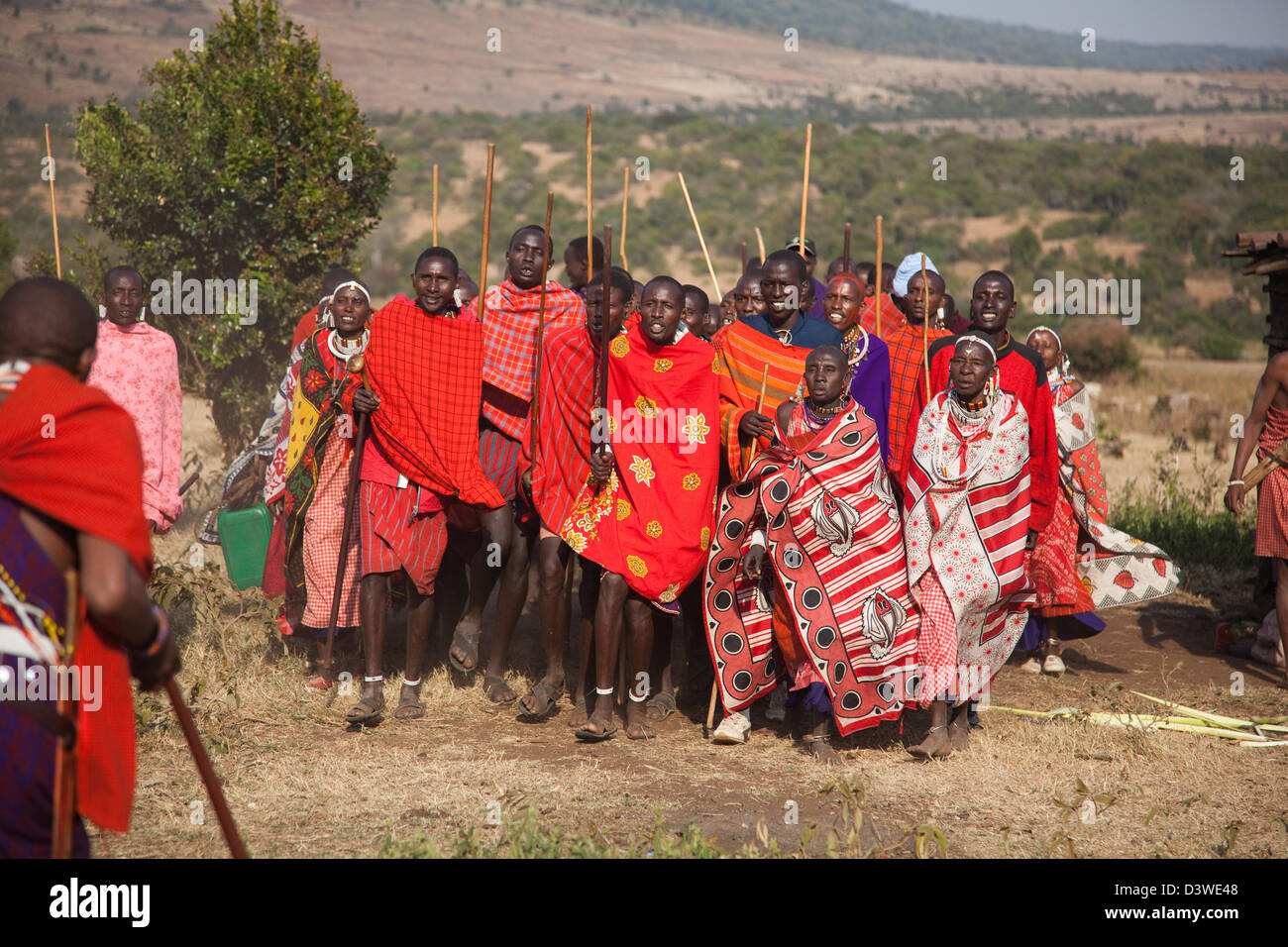 Massai tun ihren traditionellen Tanz rund um ihr Dorf am Hochzeitsfest. Stockfoto