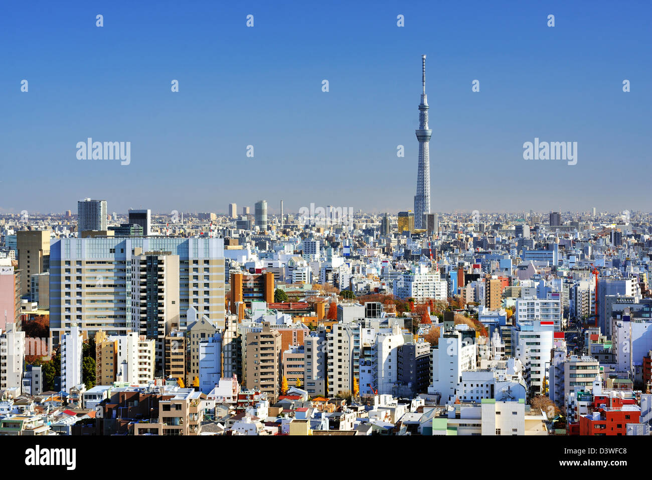 Tokyo Sky Tree überragt die dichten Skyline von Tokyo, Japan. Stockfoto