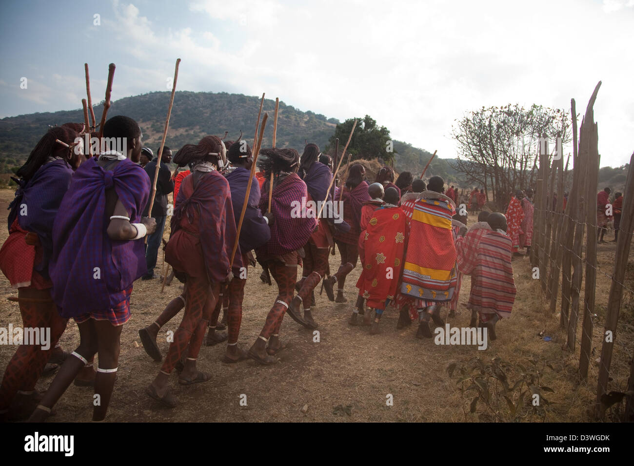 Eine Maasai Hochzeitsgesellschaft ist im Gange mit jungen Männern und Mädchen tanzen rund um das Dorf. Stockfoto