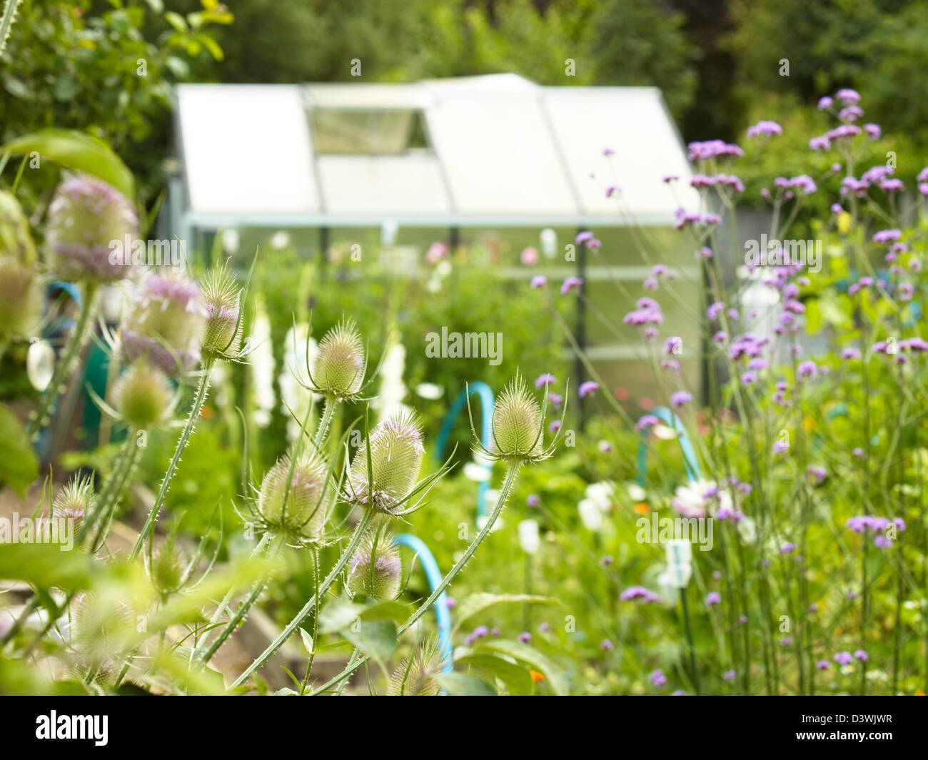 Zuteilung Gewächshaus Stockfoto