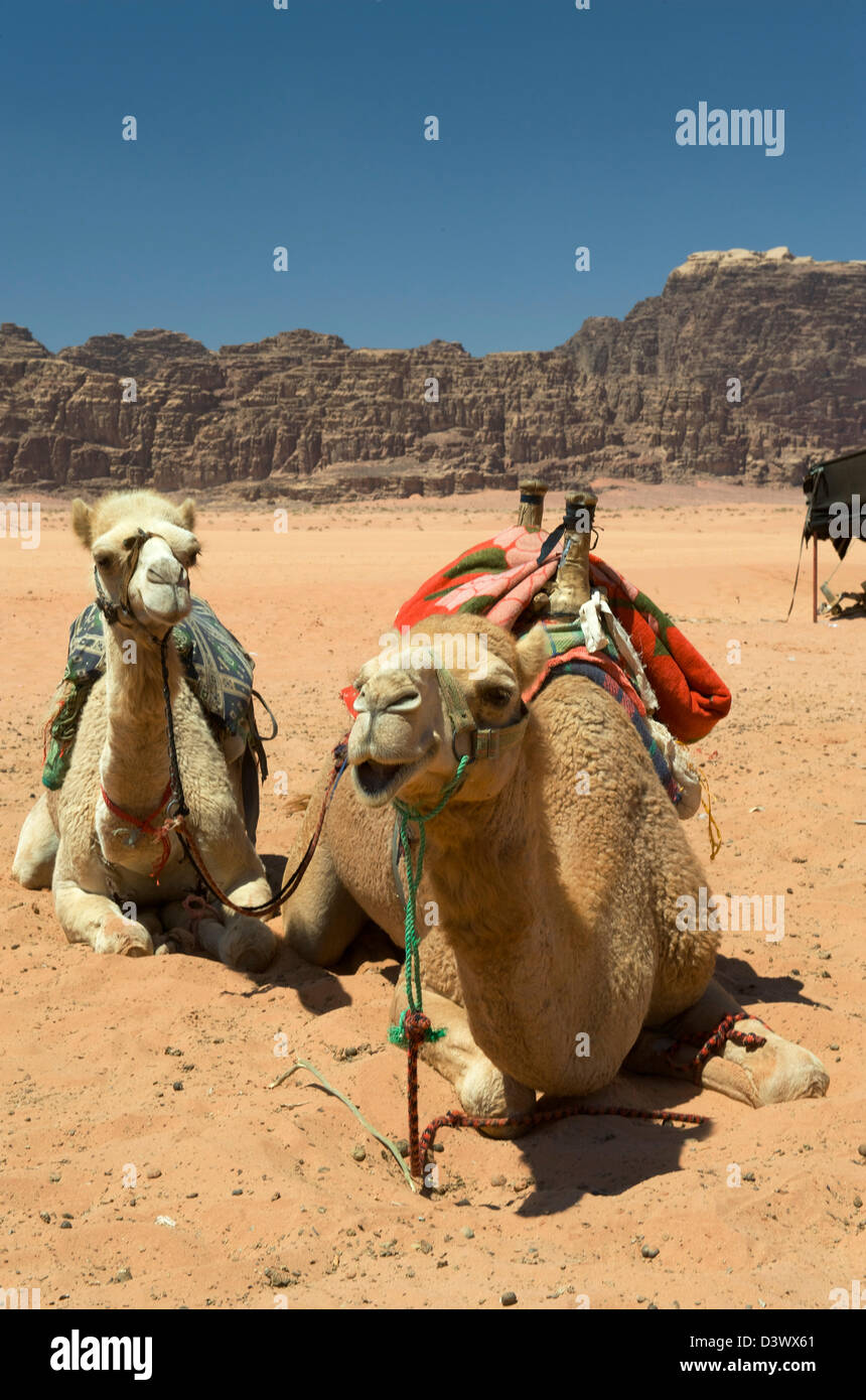 Wadi Rum in der Wüste Jordaniens und berühmt geworden durch Lawrence von Arabien Stockfoto