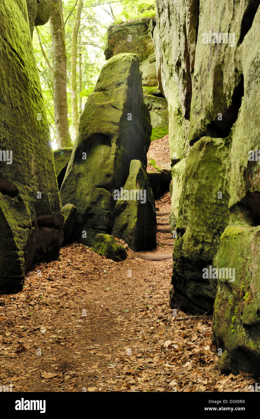 Felsformationen, bekannt als The Labyrinth, in Belgien, Echternach Stockfoto