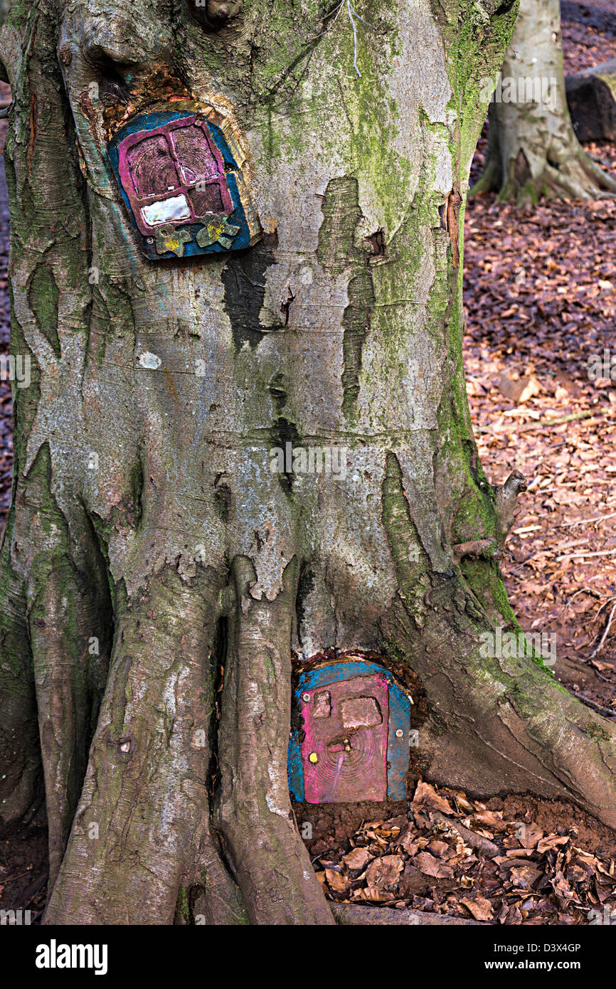 Kleine Hobbit Türen im Baum zu helfen, Kinder vorstellen, Geschichten über Fforest Fawr Waldspaziergang, Cardiff, Wales, UK Stockfoto