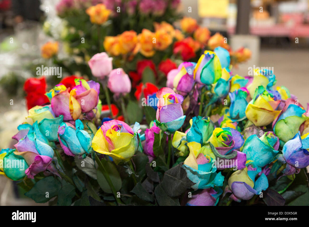 Detroit, Michigan - Blumen zum Verkauf an osteuropäischen Markt, wichtigsten Bauernmarkt der Stadt. Stockfoto