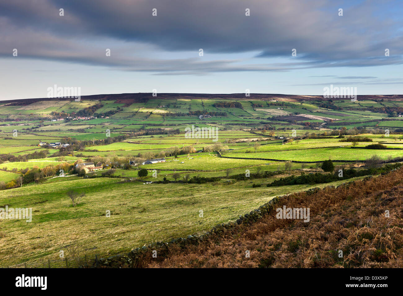 North York Moors Blick über das Tal Glaisdale an einem sonnigen Tag in der Nähe des Dorfes Glaisdale, North Yorkshire, UK. Stockfoto