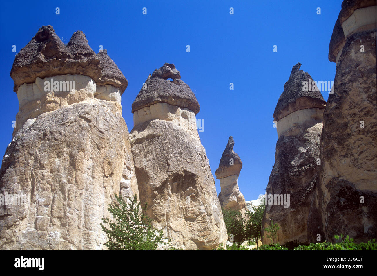 Ungewöhnliche natürliche Steinformationen in Kappadokien, Türkei Stockfoto