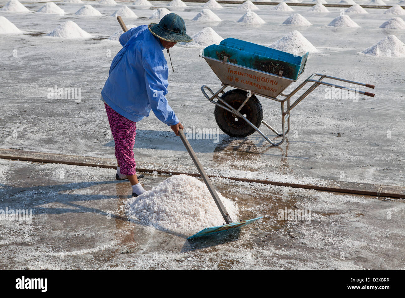 In Thailand die meisten verwendete Salz stammt aus Sole Salz Farmen, und die größte Zahl dieser Salz Betriebe sind in Samut Sakhon Stockfoto