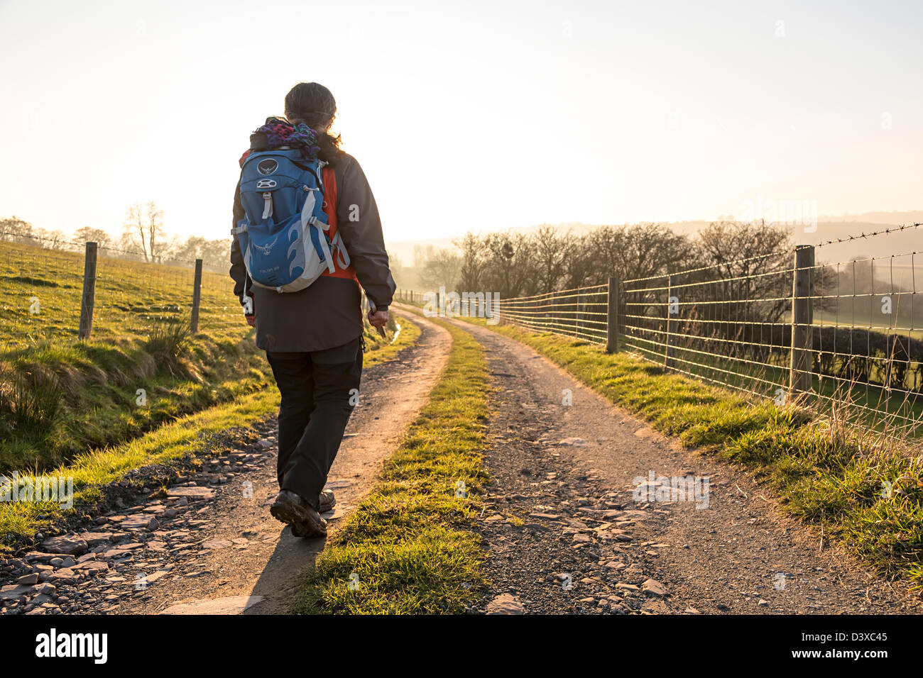 Frau Walker auf Bauernhof verfolgen Fußweg, Trefecca, Brecon Beacons National Park, Powys, Wales, UK Stockfoto