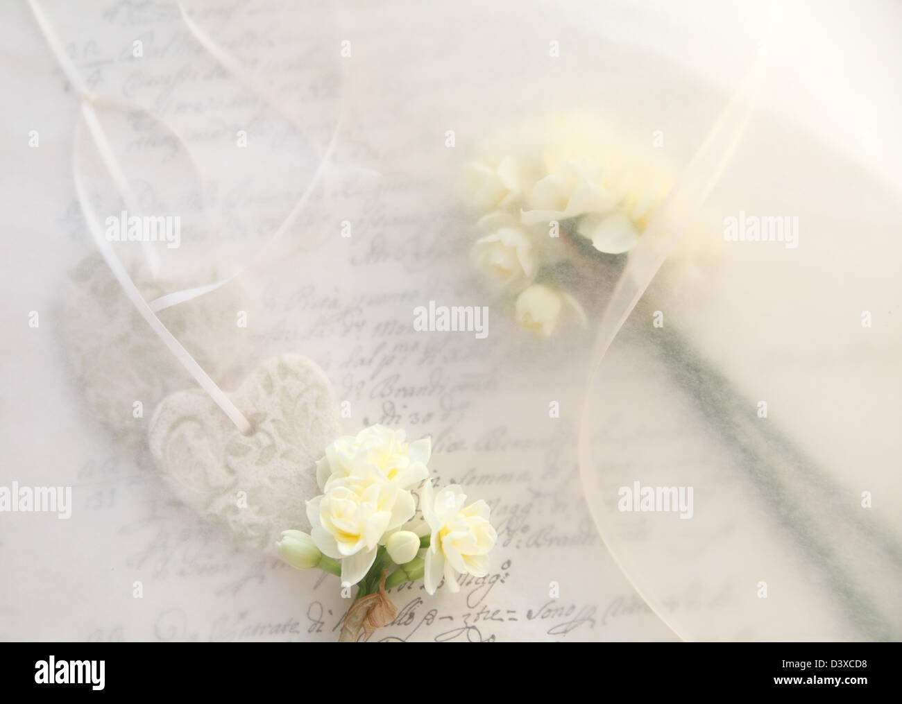 Hintergrund der frischen Narzisse Blumen mit Schleife und Herz auf alte Schrift Stockfoto