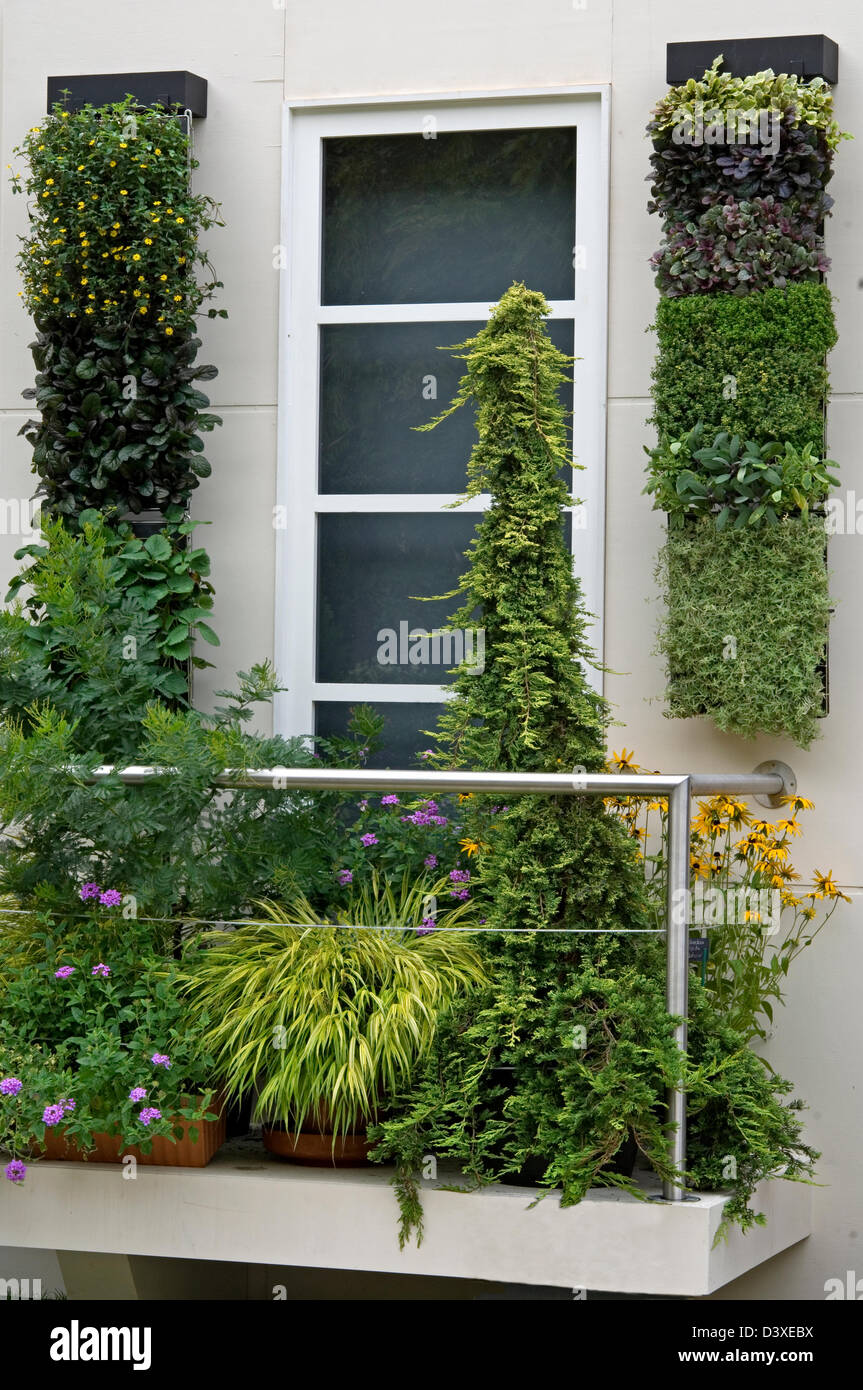 Die Sonnenschein-Balkon "von Peter Seabrook bei der RHS Tempel zeigen, 11.09.08 Goldmedaille Ausstellung von Thorncroft Clematis Baumschule bei Stockfoto