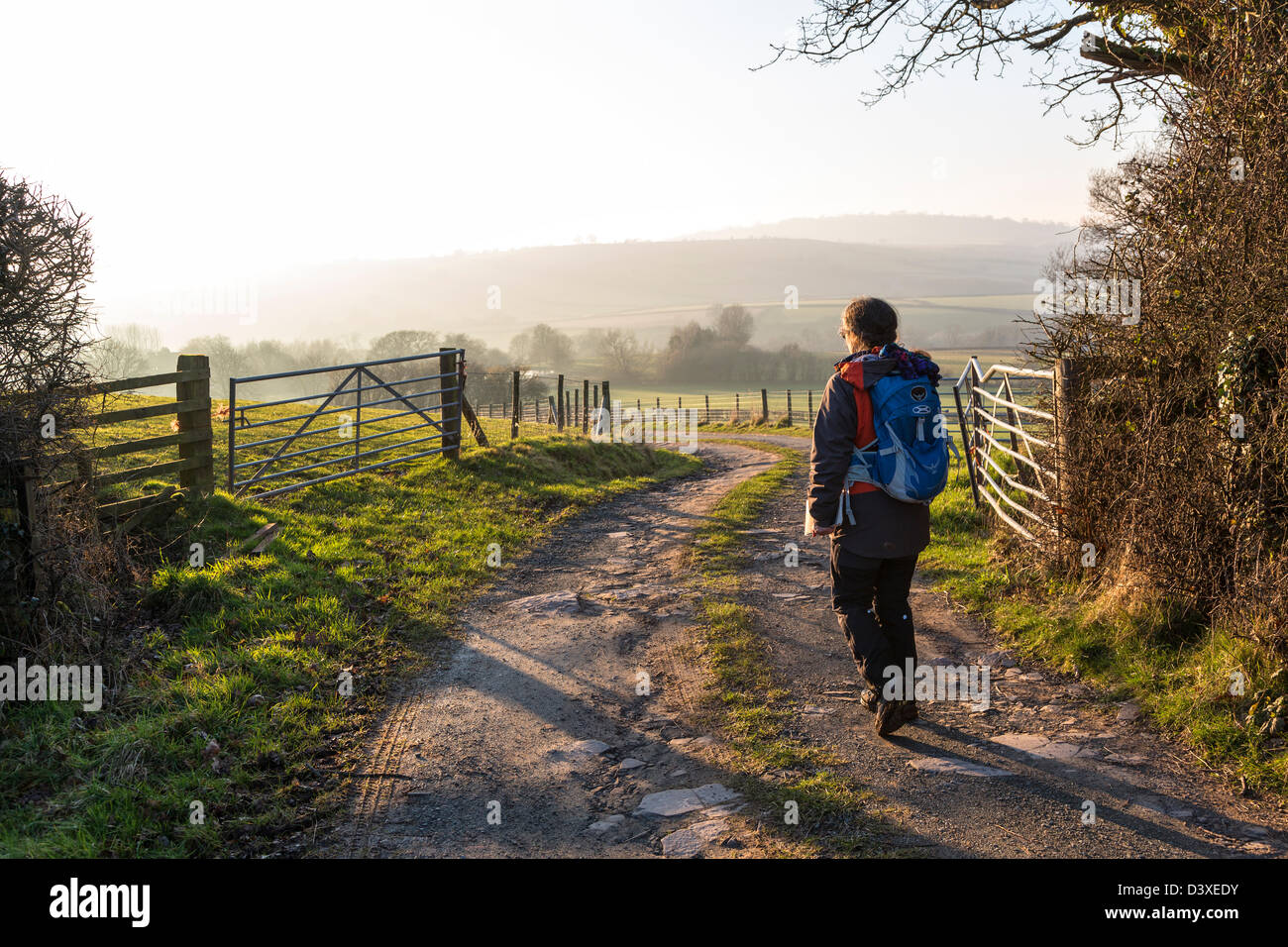 Frau Walker auf Bauernhof verfolgen Fußweg, Trefecca, Brecon Beacons National Park, Powys, Wales, UK Stockfoto