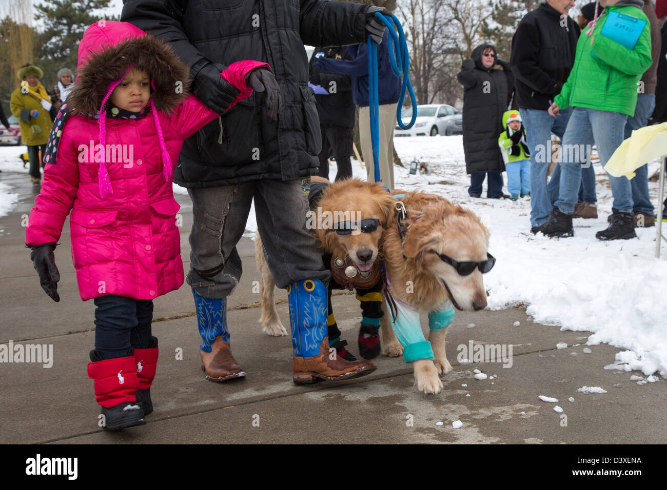 Ein Mann und seine Tochter gehen ihre Hunde in "Doggie-Modenschau" bei einem Winterfestival in Detroit Palmer Park. Stockfoto