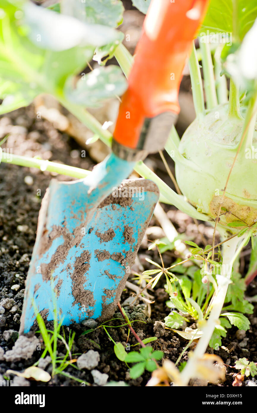 Nahaufnahme von Gartenarbeitwerkzeug, kleinen Spaten in die Erde Stockfoto