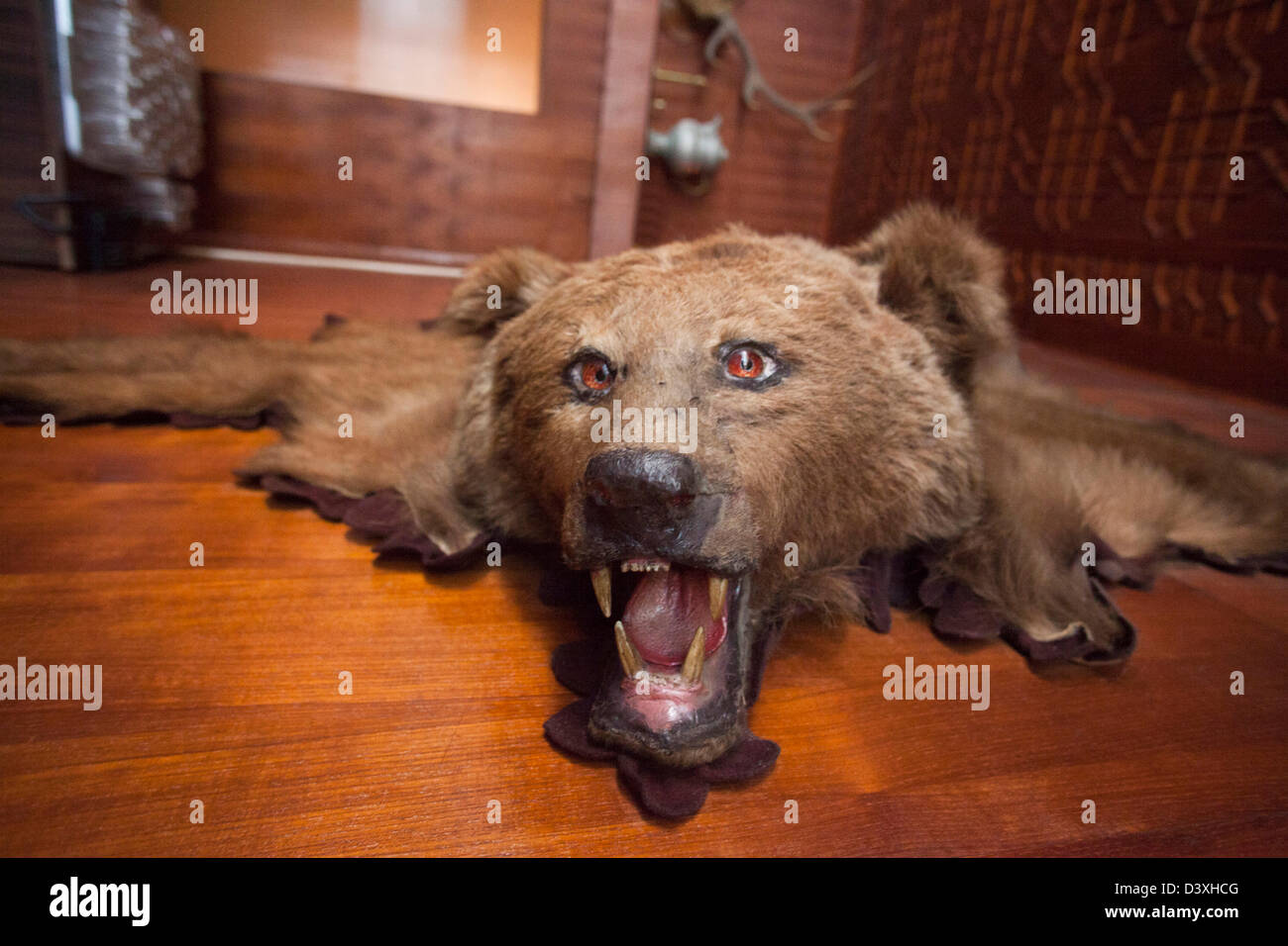 Bärenfell Teppich, Jammu und Kaschmir, Indien Stockfotografie - Alamy