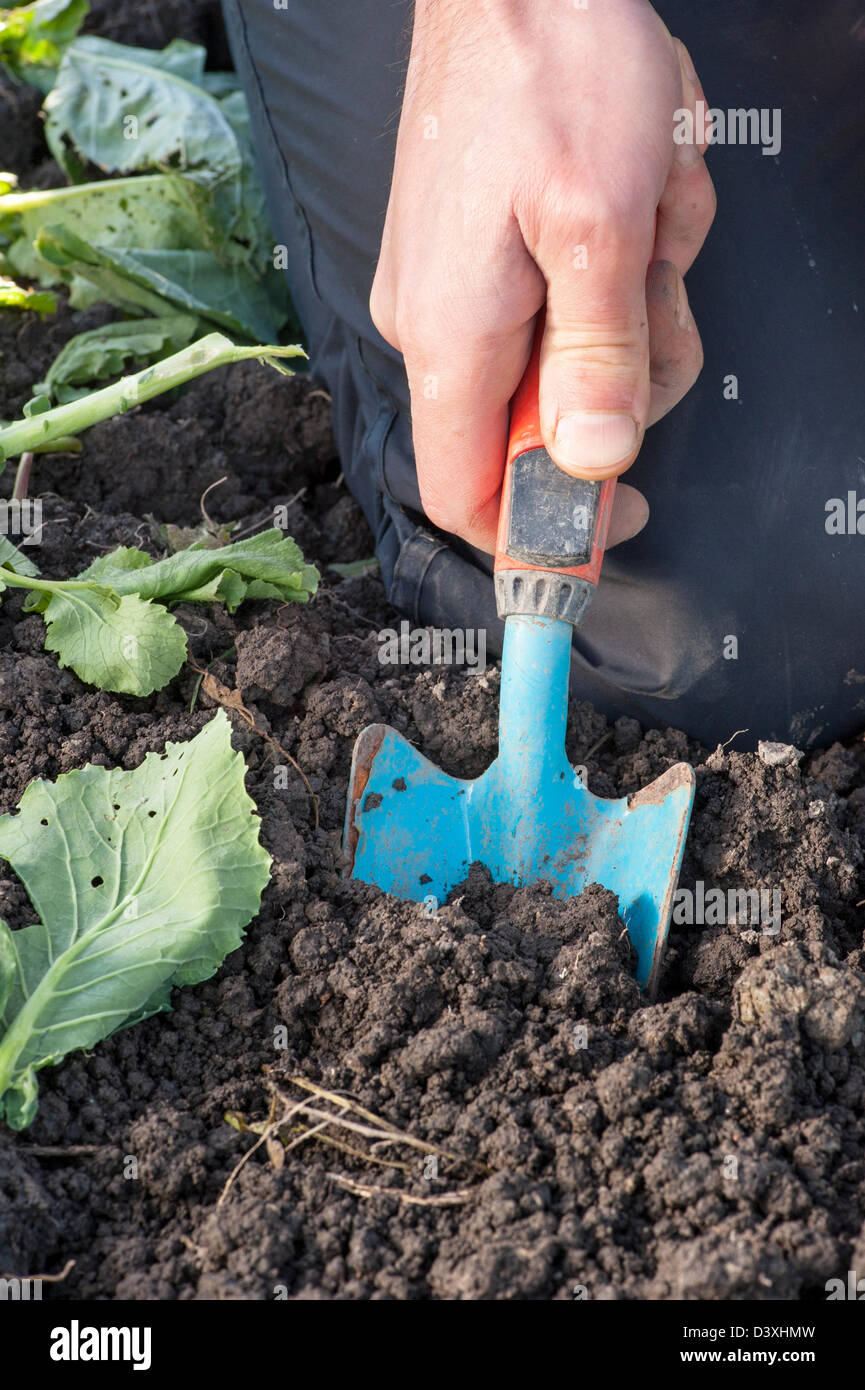 Nahaufnahme der Hand und kleine Schaufel einen Garten pflegen Stockfoto