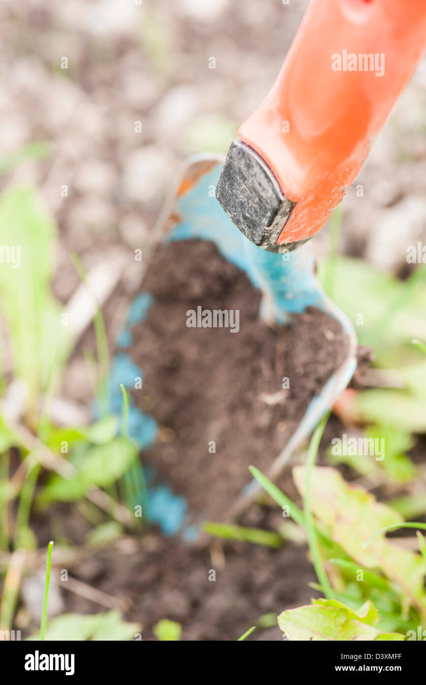Nahaufnahme von Gartenarbeitwerkzeug, kleinen Spaten in die Erde Stockfoto
