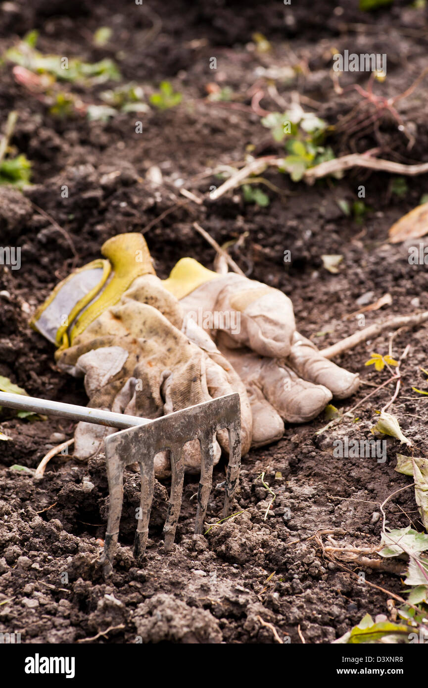 Gartengeräte, kleinen Rechen und Arbeitshandschuhe auf dem Boden liegend Stockfoto