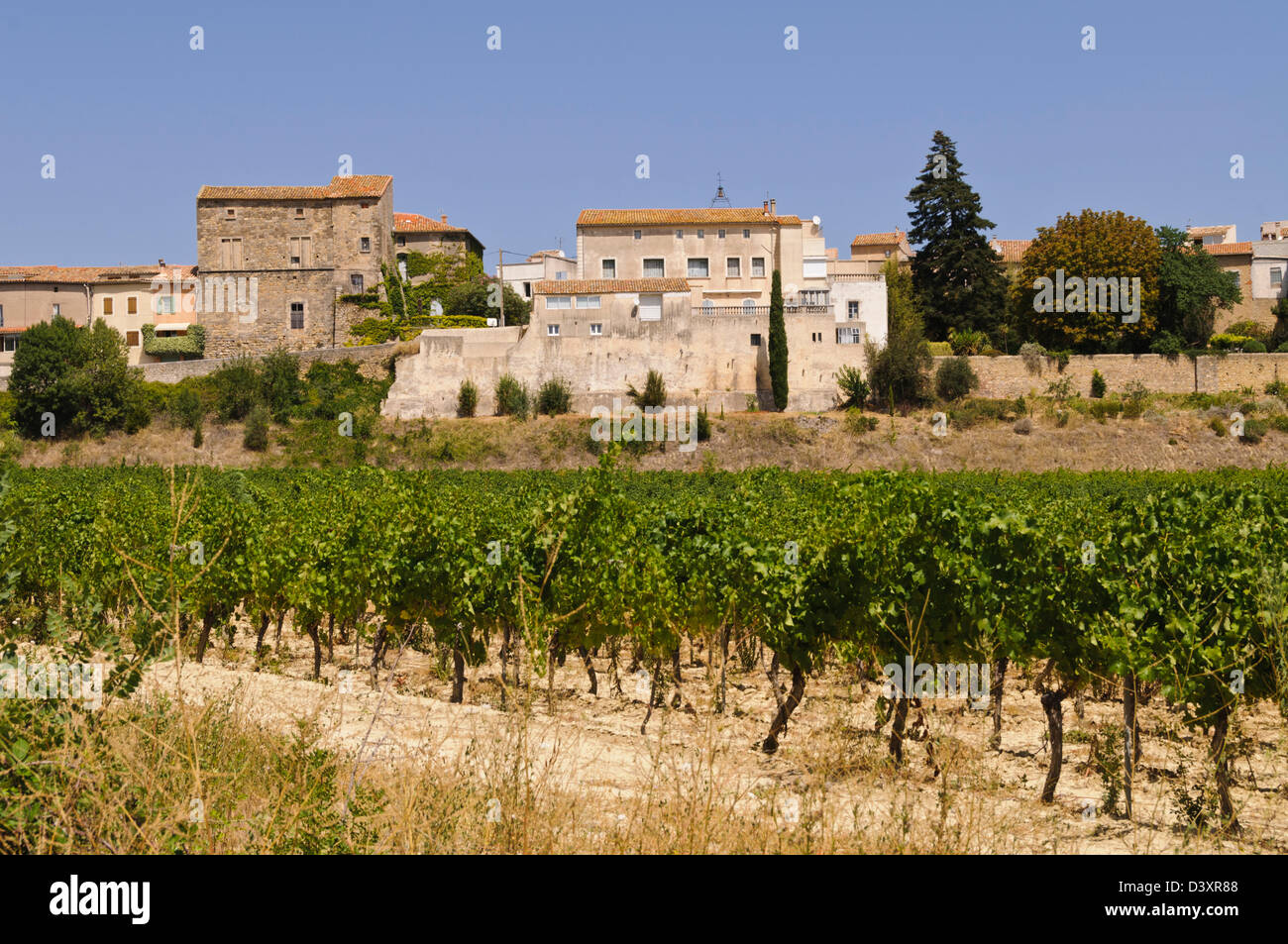Blick über Weinberge in das Dorf Tressan, Hérault, Languedoc Roussillon, Frankreich Stockfoto