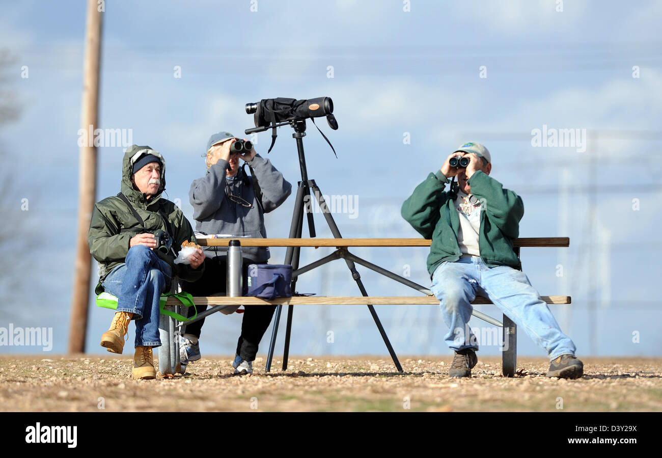 Vogel-Club-Mitglieder dokumentieren Zugvögel in New Haven CT USA Stockfoto