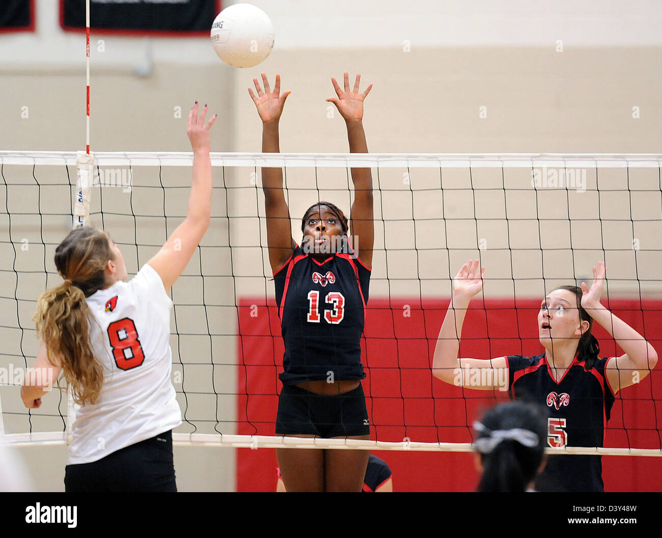 Meisterschaft Mädchen Gymnasium Volleyball Action CT USA Stockfoto