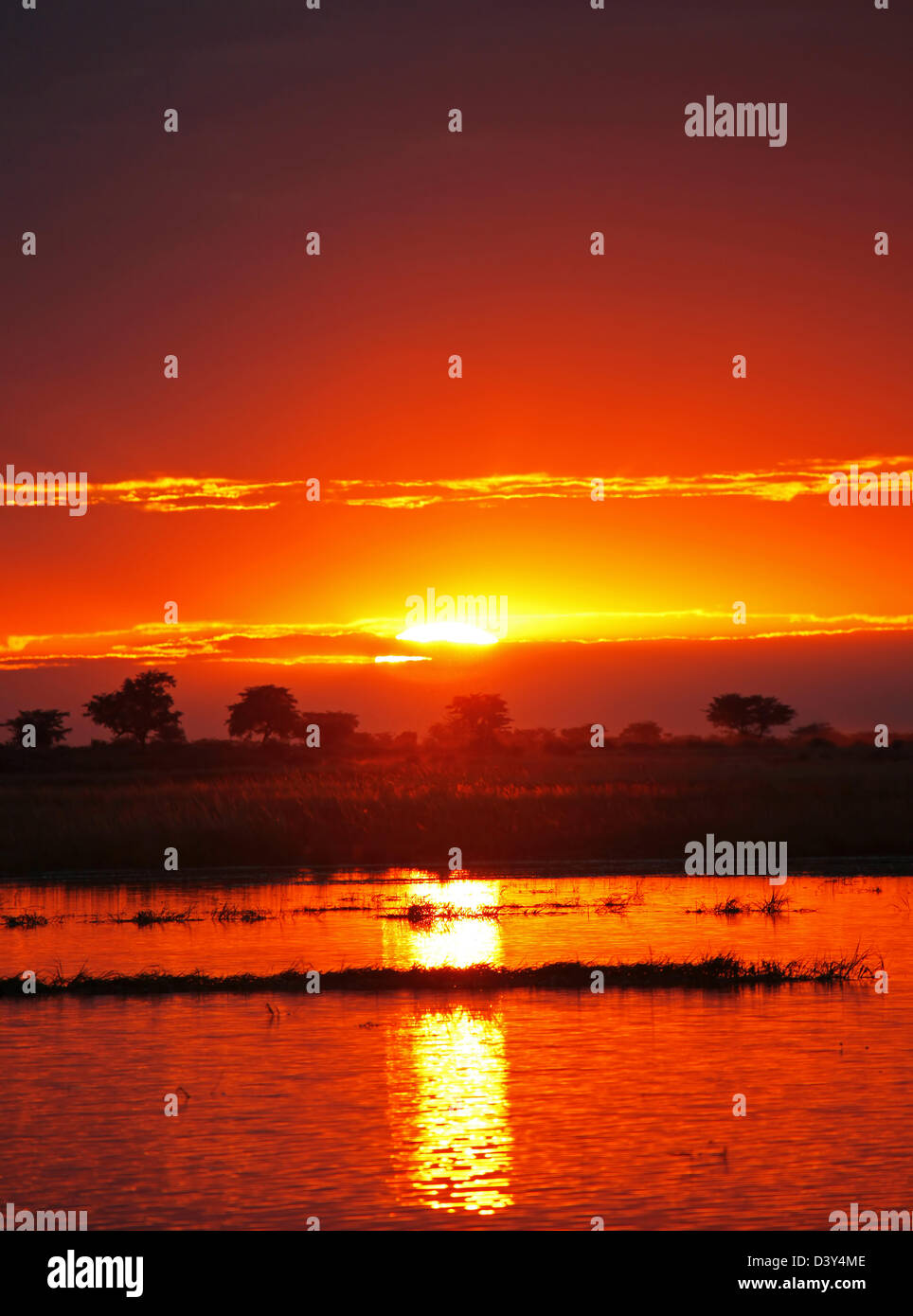 Sonnenuntergang am Chobe Fluss, Botsuana Stockfoto