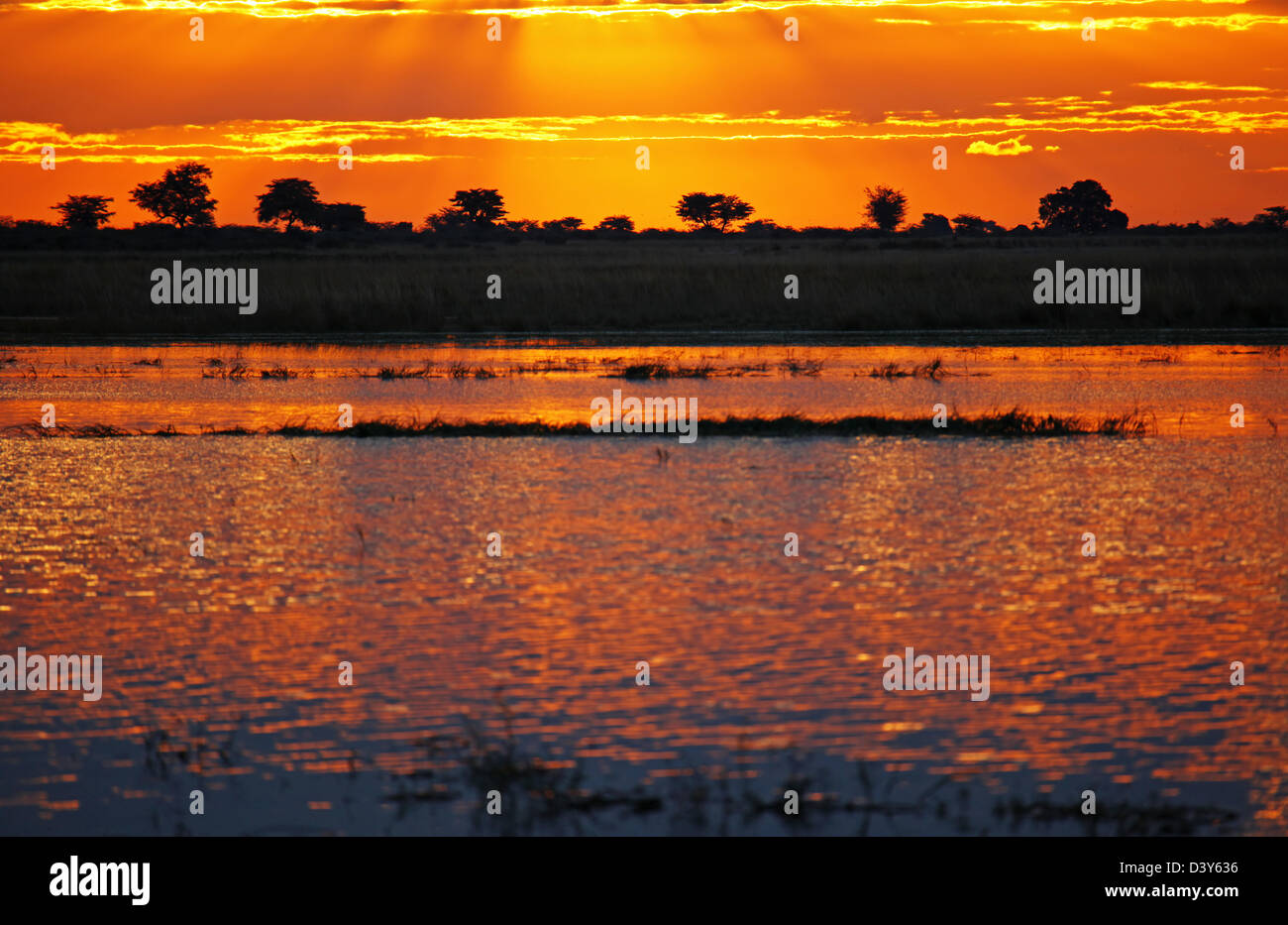 Sonnenuntergang am Chobe Fluss, Botsuana Stockfoto