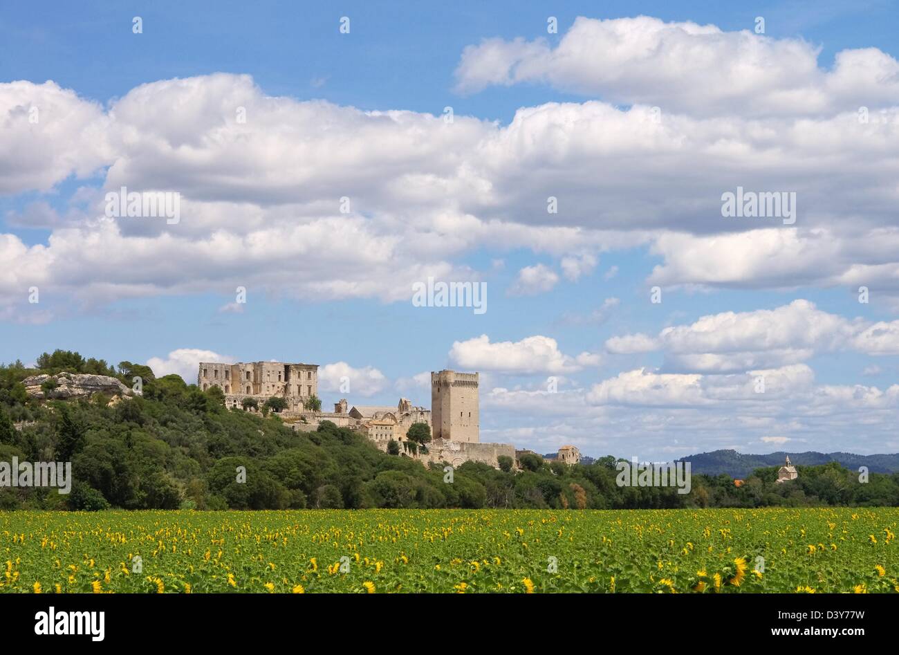 Abbaye de Montmajour 12 Stockfoto