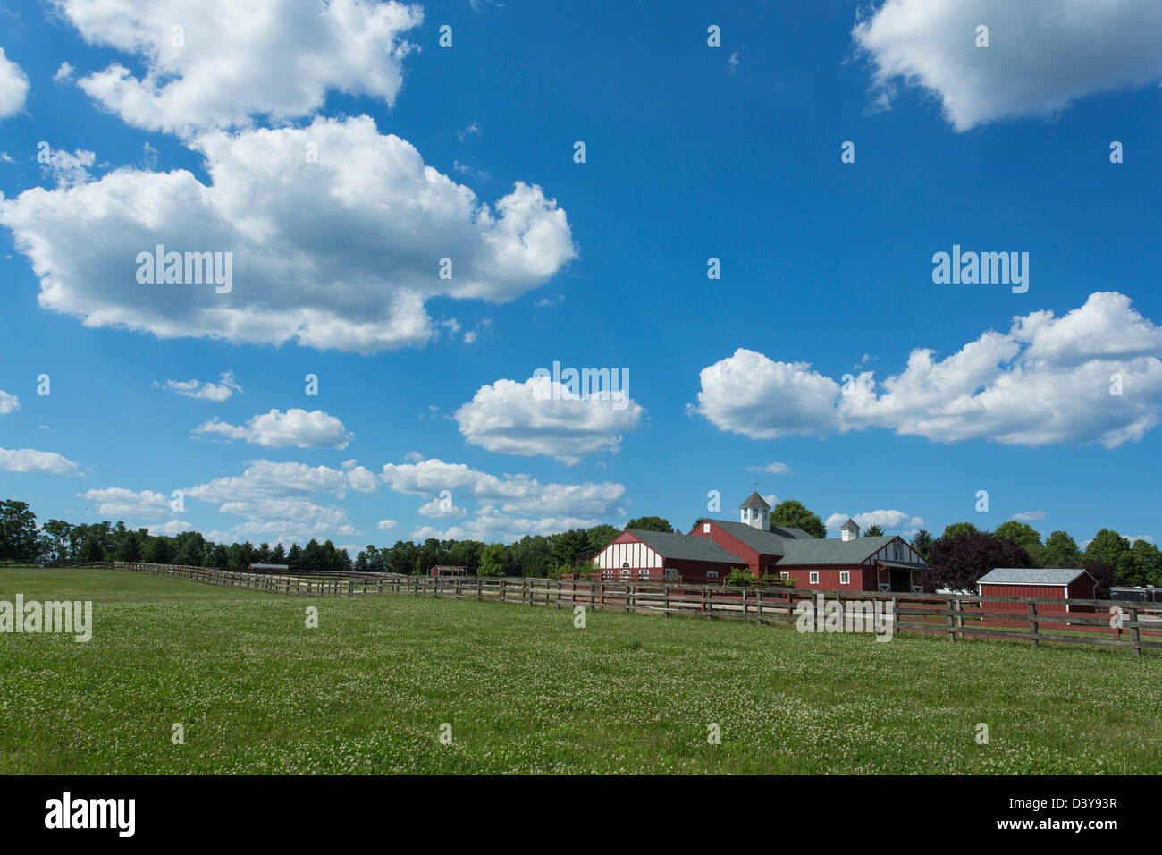 Bauernhaus mit einer großen Wiese Stockfoto