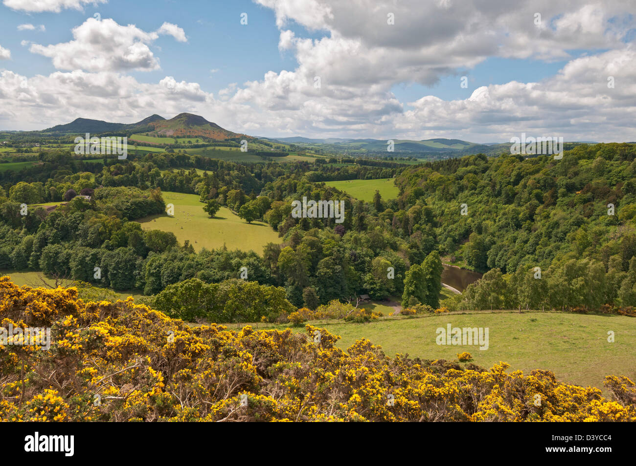 Schottland, Scottish Borders, Scotts Ansicht, sondern ein Favorit von Sir Walter Scott über dem Tweed River Tal Stockfoto
