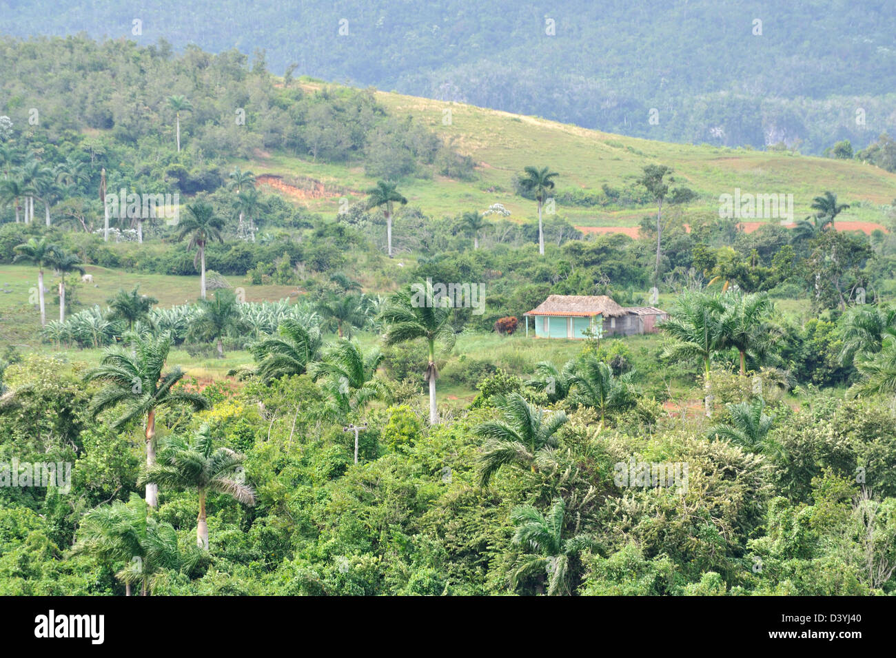 Landschaft in der Nähe von Vinales, Provinz Pinar Del Rio, Kuba Stockfoto