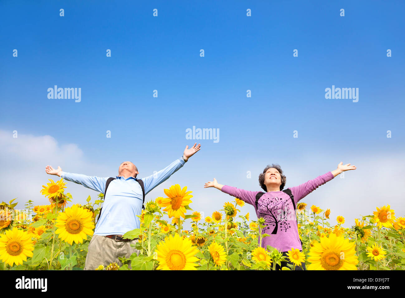 älteres paar stehen im Sunflower Garten entspannt Stockfoto