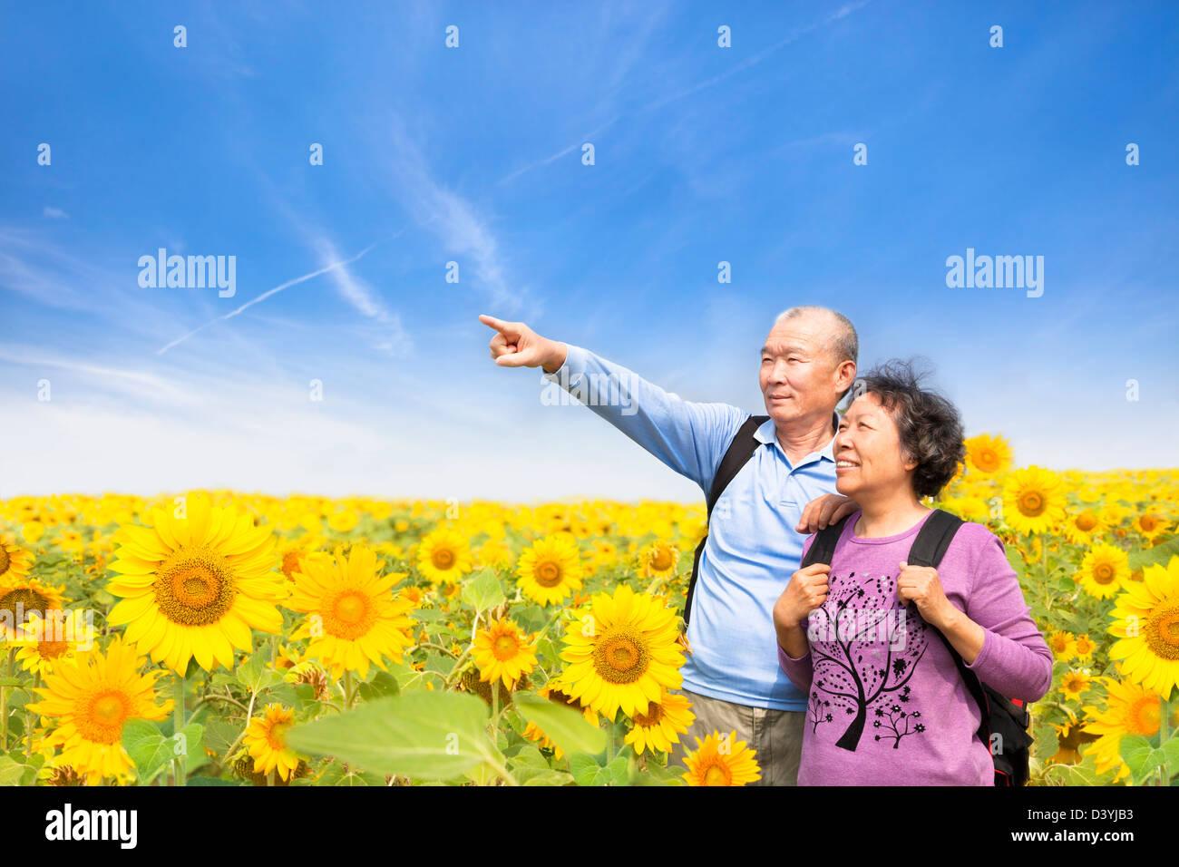 senior Brautpaar stehend im Sunflower Garten Stockfoto