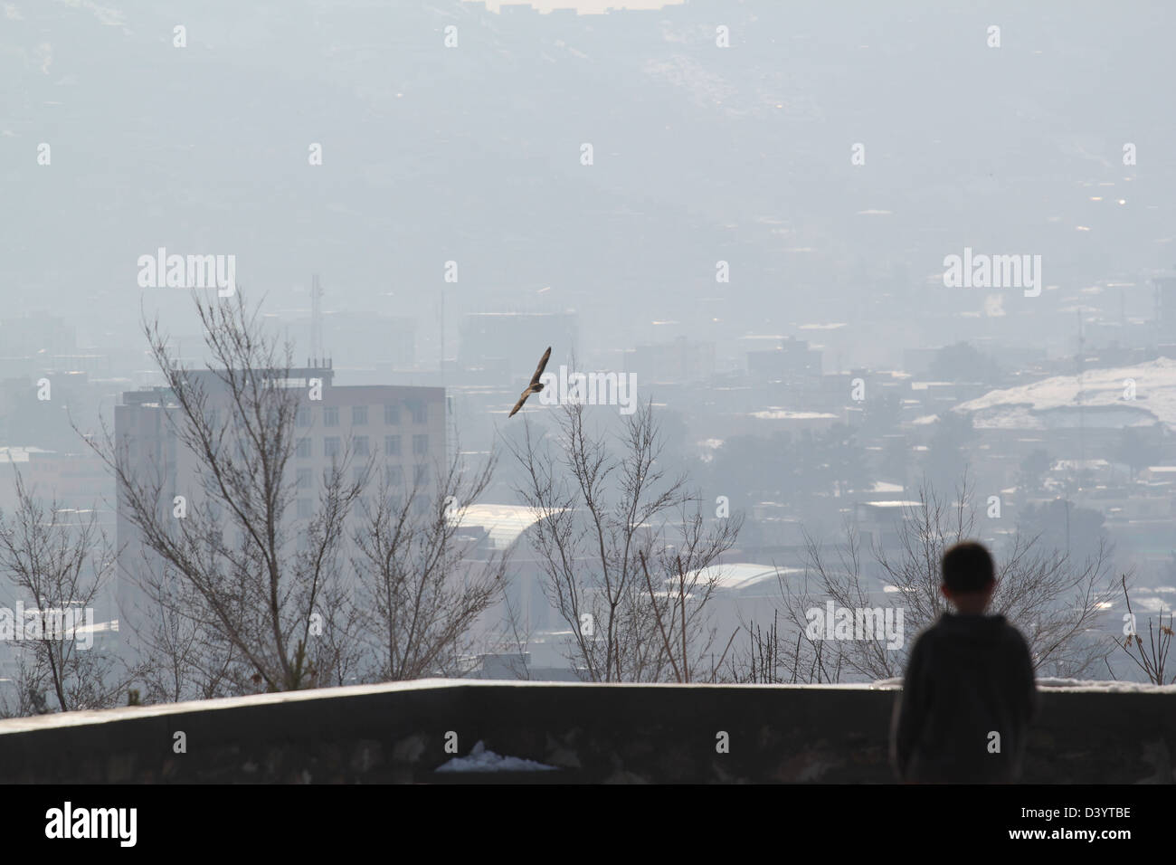 eine Eule Kreise die Luft über Kabul, Afghanistan. Stockfoto