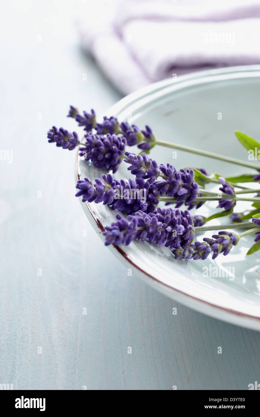 Lavendel Blumen in Schüssel Stockfoto