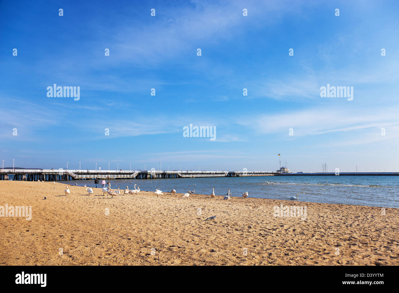 Blick vom Strand an der Pier in Sopot, Polen. Stockfoto