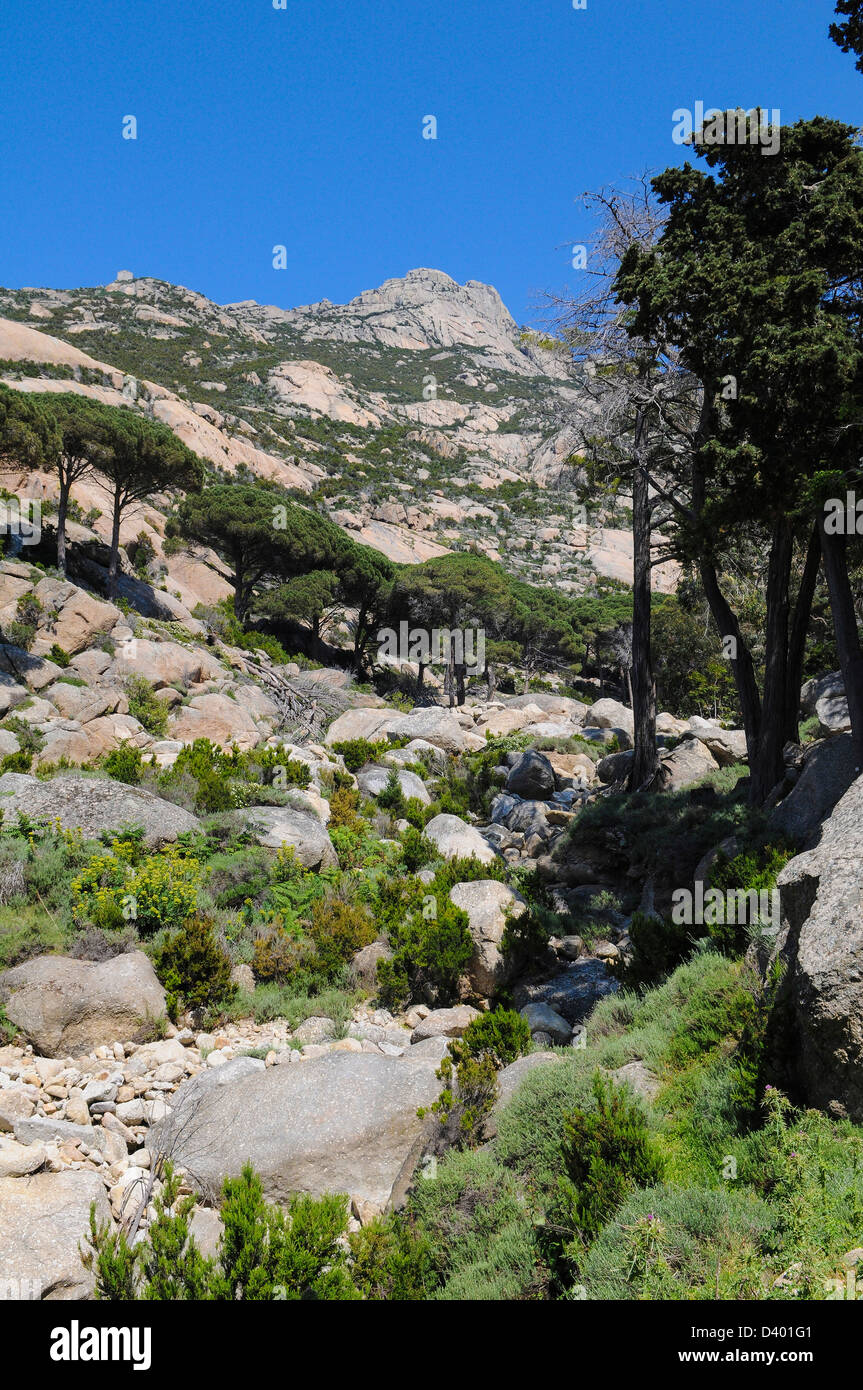 Montecristo insel Fotos und Bildmaterial in hoher Auflösung Alamy