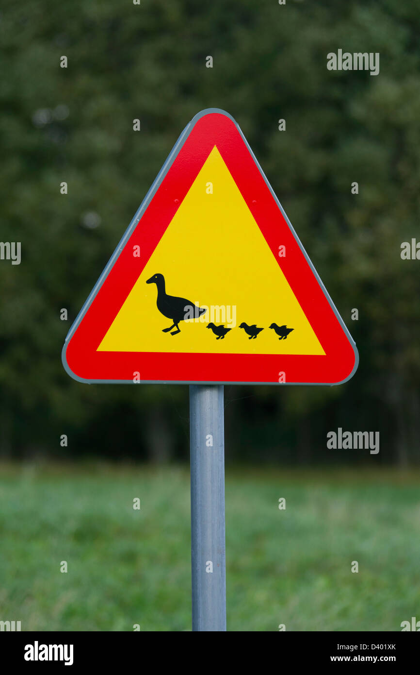 Warnzeichen für Wasservögel und Enten beim Überqueren der Straße Stockfoto