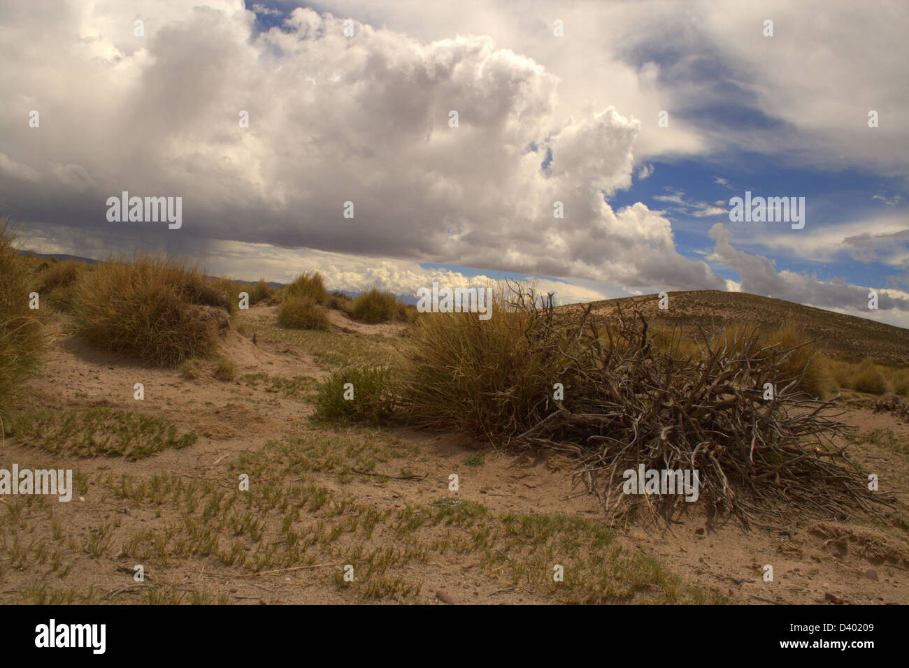 Bolivianischen Berge, Landschaften, Wolken, Himmel, Feld, Bush, Rasen Stockfoto