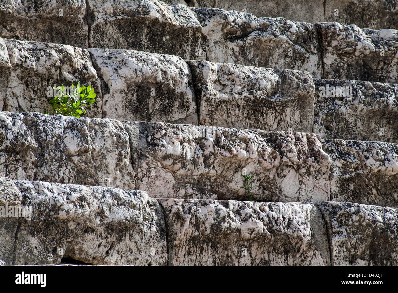 Alten Mable Treppen in Beth Shean mit Unkraut wächst in Ihnen Stockfoto