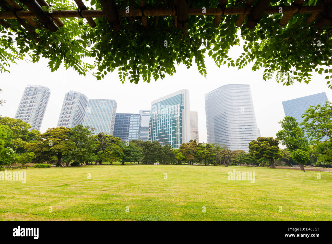 Eine Reihe von Wolkenkratzern, eingerahmt von Parkbäumen und Rasen in Shiodome, Tokio. Stockfoto