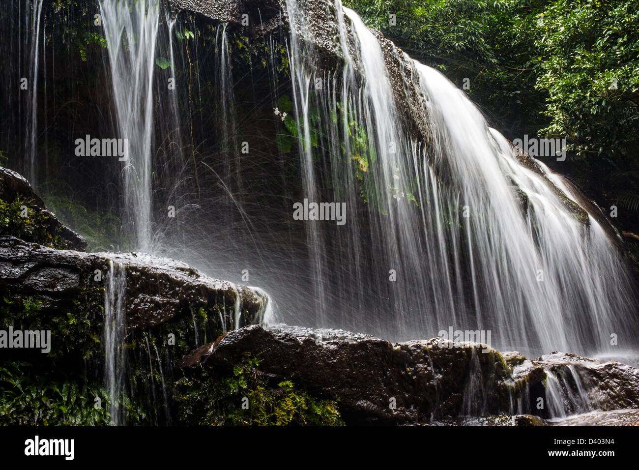 Nahaufnahme von Sangara fällt, Iriomote Island, Präfektur Okinawa, Japan. Stockfoto