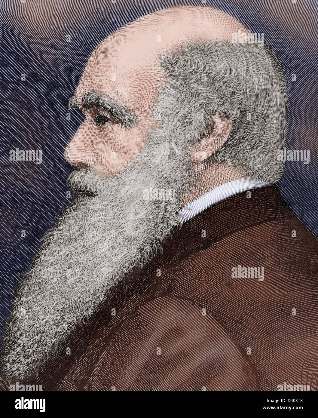 Charles Robert Darwin (1809-1882), britischer Naturforscher. Farbige Gravur. Stockfoto