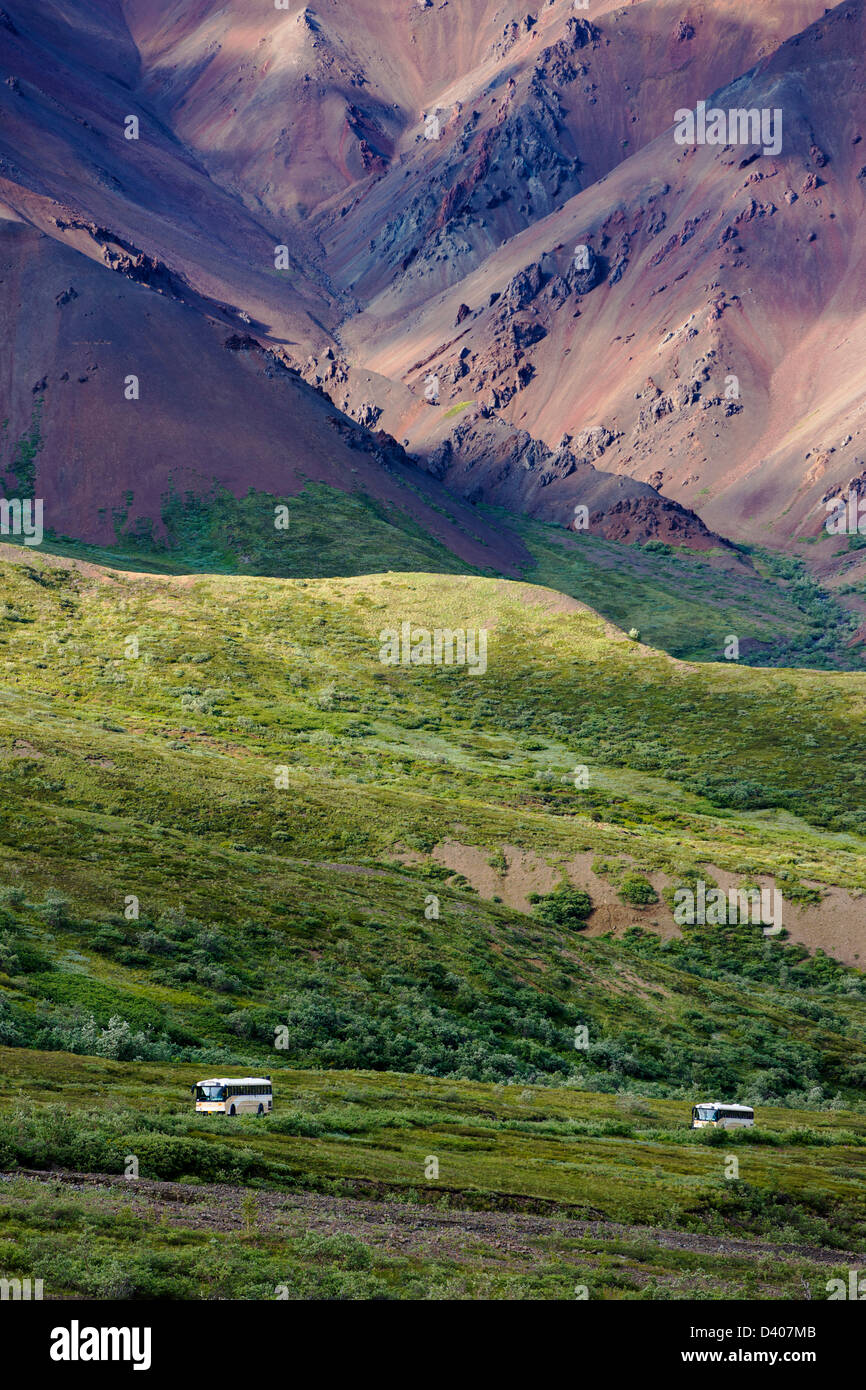 Shuttle-Busse Besucher auf den begrenzten Zugang Denali Park Road, Denali National Park, Alaska, USA Stockfoto