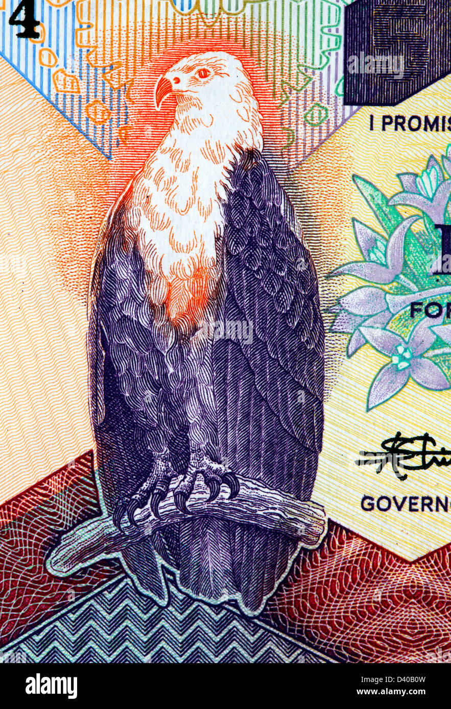 Afrikanische Fischadler aus 50 Kwacha-Banknote, Sambia, 1986 Stockfoto