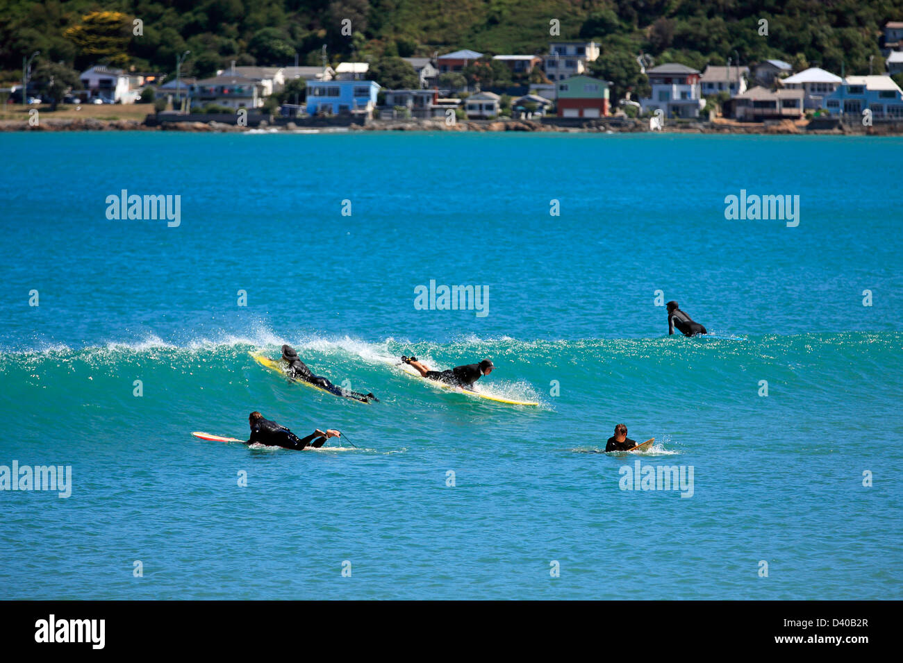 Surfer Surfen kleiner Sommer Wellen im Lyall Bay in Wellington Stockfoto